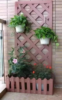 阳台种花指南：如何选择既Neng净化空气又美观大方的花卉？