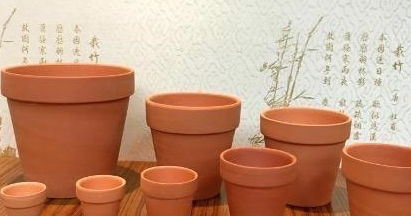 种盆栽的土，你选对了吗？