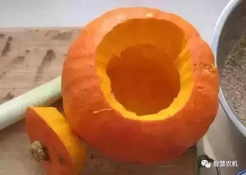 四防四保， 兰瓜保鲜秘诀