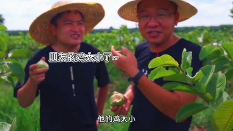 那搞笑的喷农药姿势