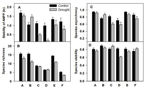 油茶种子在干旱地播种的存活率之谜