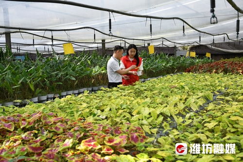 绿色生活，从选择开始