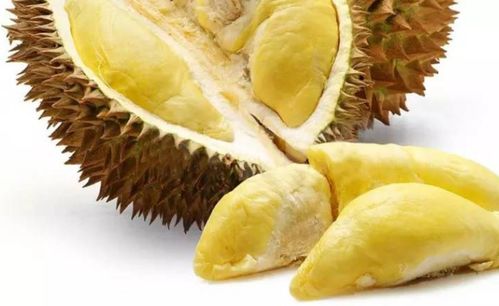 如何判断榴莲是否成熟？掌握这些特征
