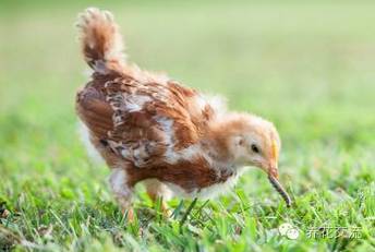 药，一方面有效杀死害虫，保护作物；一方面又带来潜在危害。
