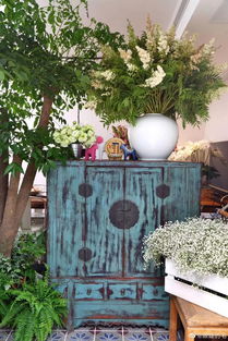 五、蓬莱松：发财致富，财源滚滚