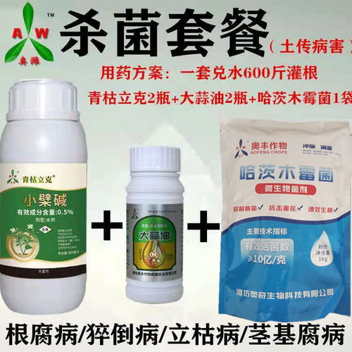番茄青枯病，你了解多少？