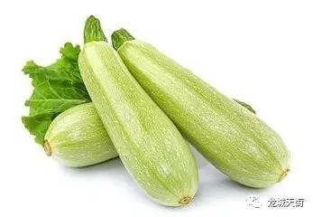 西葫芦从产地到餐桌，历经长途物流