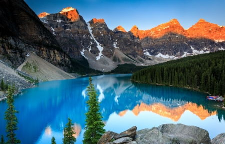 Java培训价格：林间苗木各显生机