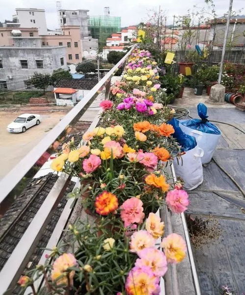 暴雨防护与烈日防护：应对极端天气