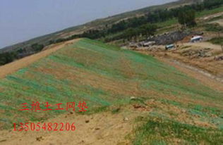 边坡防护与植被恢复