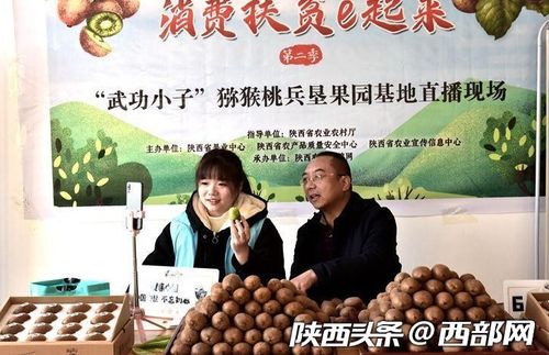 猕猴桃适合种植在哪种土壤中，以及如何运用栽培技术确保其健康生长