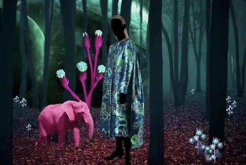 伊芙伯爵的神秘习性揭秘