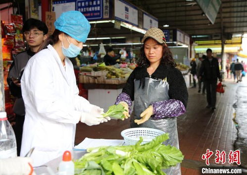 碎样，得细细来