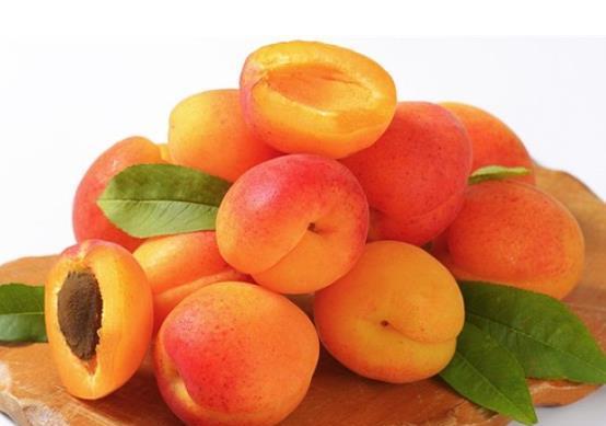 杏子种植季节嫩否随意