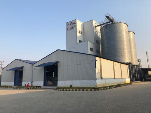 诸城新建饲料厂，诸城饲料有限公司的优质饲料如何助力养殖业高效发展？