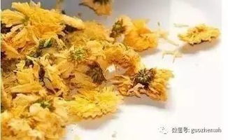 菊花配枸杞，清肝火效果如何