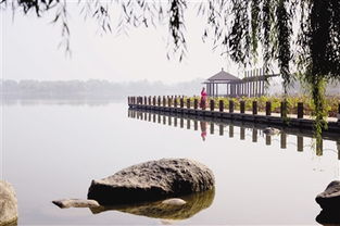 南通植物园秋色叶树种大盘点