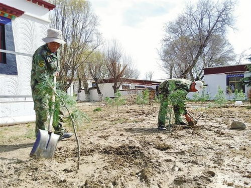 一年多次开花植物的修剪