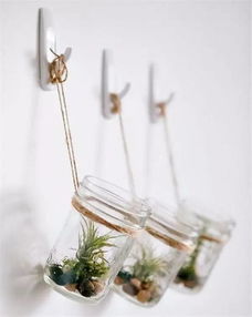 绿植养护小园丁卡通故事， 带你轻松养绿植