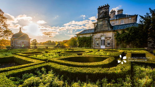 苏格兰的植物选择