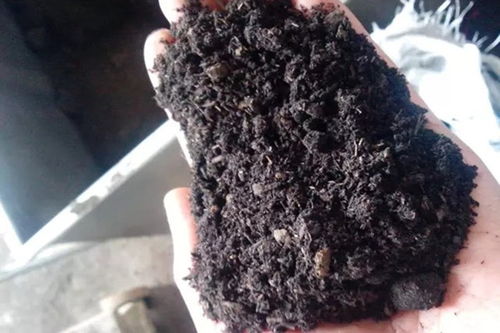 沤肥方法多步骤