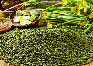 微量元素的神奇力量