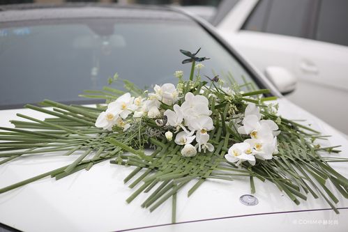 创新花卉保鲜技术：高效微波干燥系统提升花艺品质