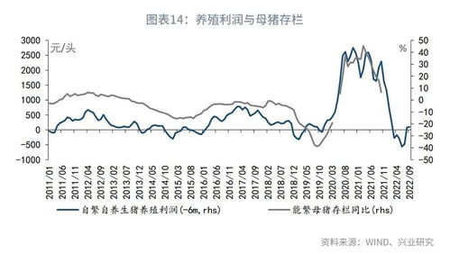 规模养殖关键四关：选址、饲料、防疫、销售