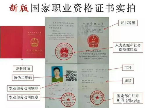 中国饲料配方师职业资格认证考试内容有哪些，饲料配方师如何进行科学配方？