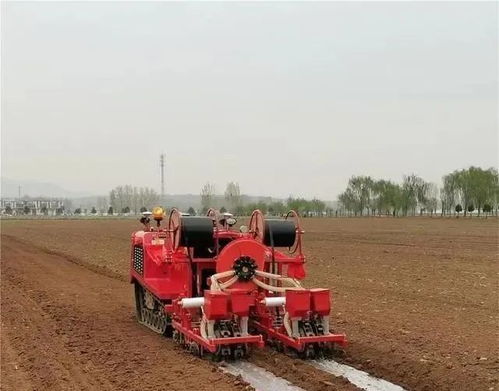 柑橘农药施用量， 得按标准来