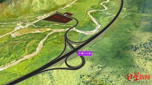 雪松在高山地带的生长奥秘