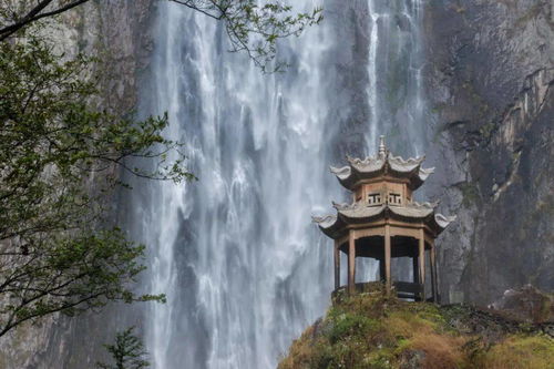 日本景观设计大师的杰作