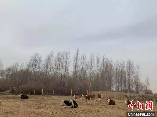 水资源短缺，是咋回事呢？