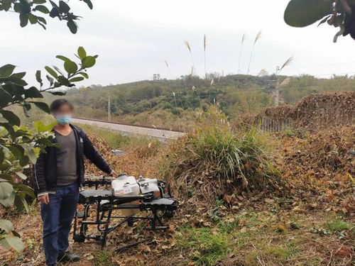 铁路边飞行农用无人机喷洒农药， 构成危害电气化铁路设施