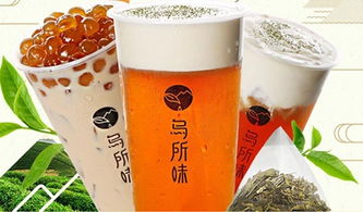 加盟山茶油品牌，哪种茶叶加盟项目更受市场欢迎？