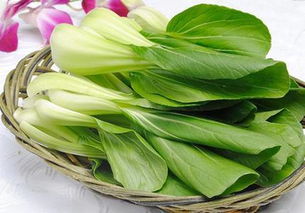 用药要讲究，别乱喷