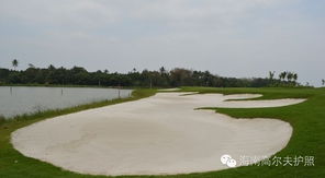 恢复快， 长得快