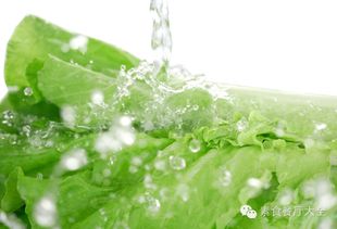 农药水浇花，白色水溶液是咋回事？