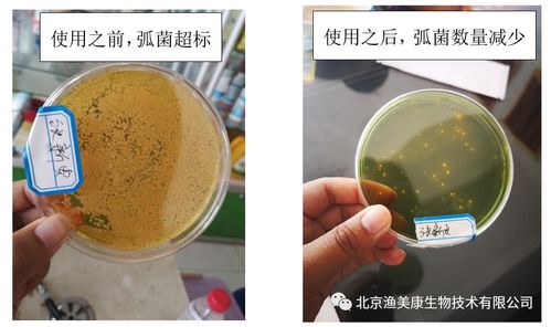 误食了草甘膦，得赶紧催吐
