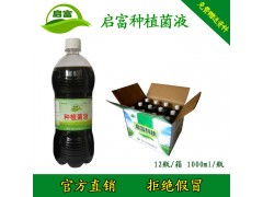 尚洋：园艺界的“守护神”