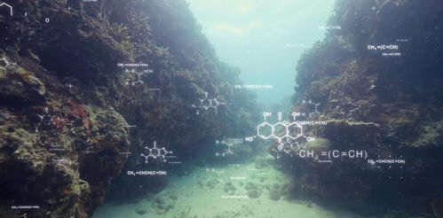 揭秘：陆地植物发光之谜 - 是自然现象还是人工创造？