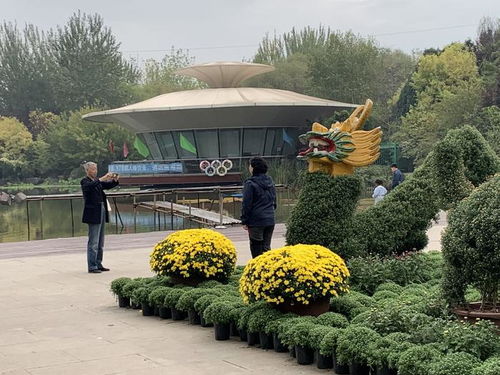 西安植物园4月赏花正当时错过这几个月可惜了