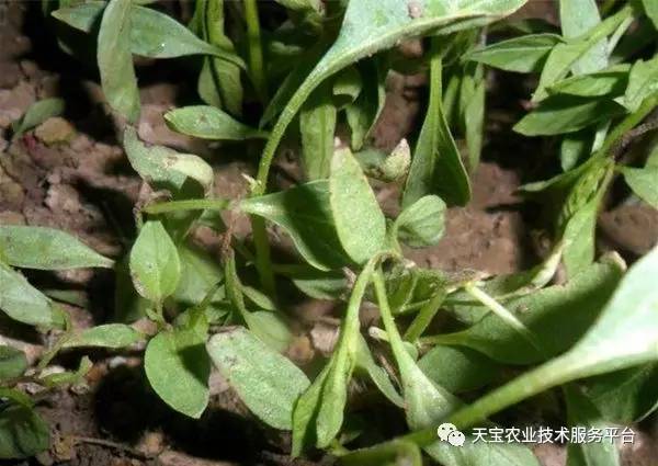 避坑指南，避免这些错误