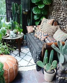 高原之花， 阳台的美丽使者