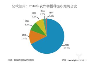 湛江的辣椒和青菜：赚钱的宝贝