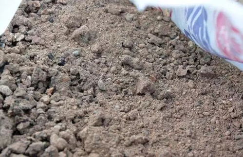 生石灰和多菌灵的神秘邂逅，Neng混用吗？