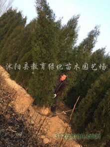 三大雷区，你了解吗？