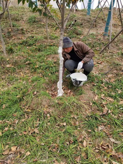 01. 整形修剪：剪剪剪， 剪出好形状