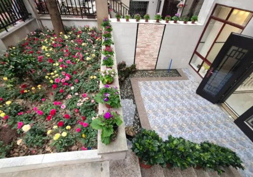 耐寒耐旱， 栽植方便，易于管理