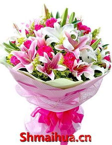 重阳送花选什么？最佳花卉推荐！